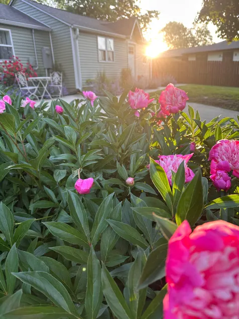 Sunny Cottage: Fire pit, close to biking & walking trails and historic downtown. - Image 1