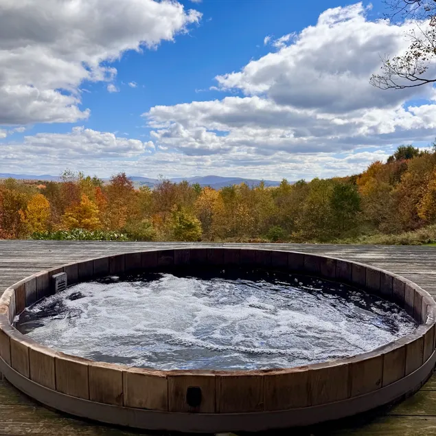 Catskills Cabin on 34 acre Estate stunning views - Image 1