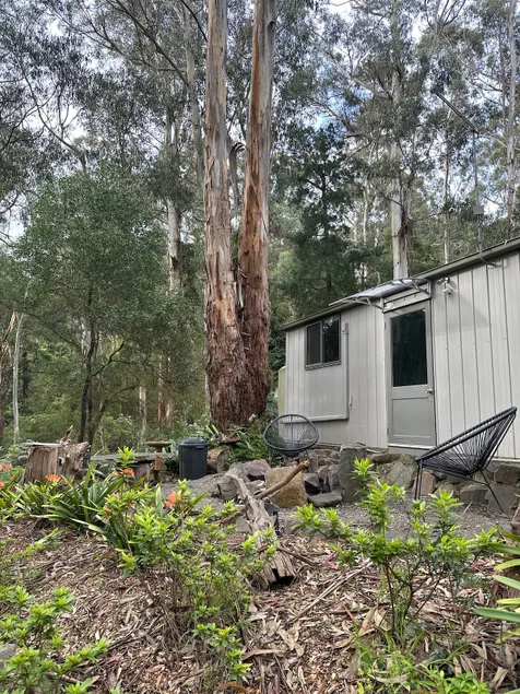 Charming Forest Studio - Image 1