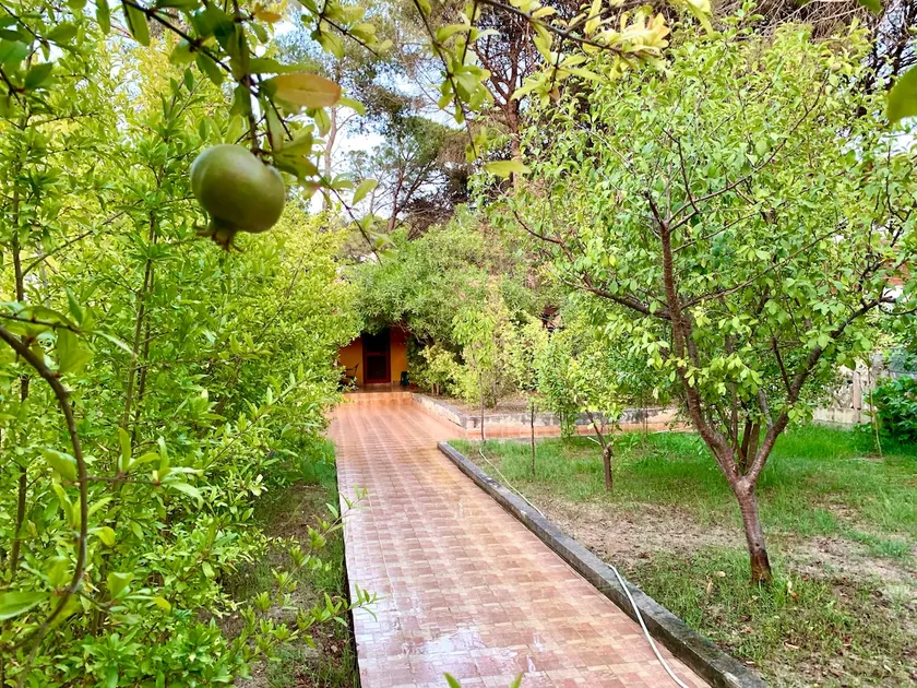 Charming Beachside Villa With Big Garden - Image 1