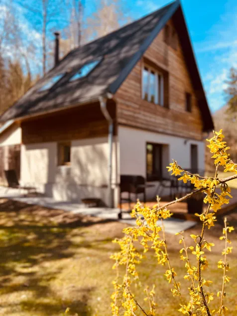 U Lacinů cottage - Image 1