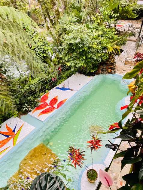 House by the river in the Amazon. Garden-Cotundo - Image 1
