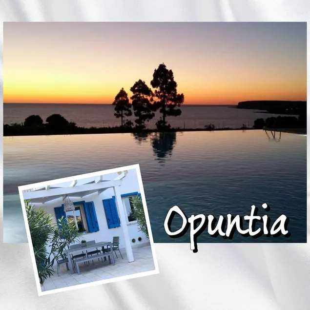 “Opuntia” Cala Azzurra Macari - Image 1