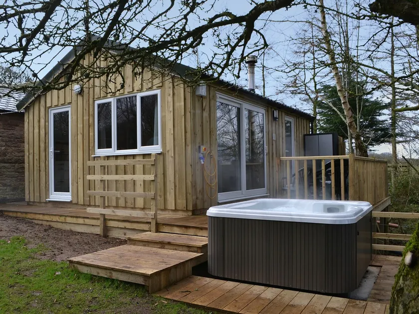 Treehouse Cabin - Image 1