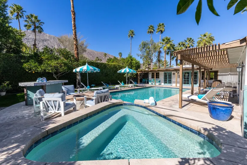 Der clevere Kaktus - Fabulous Brand New Listing! - Image 1
