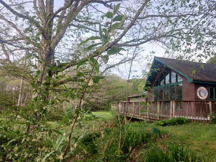 The Lodge at Yew Mountain Center - Part of the MMT - Image 1