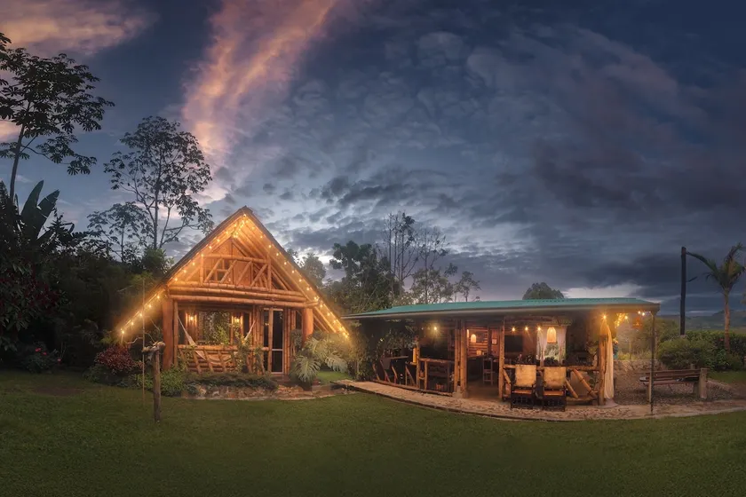 Manantial del Turpial Cabin, Photography of bird - Image 1