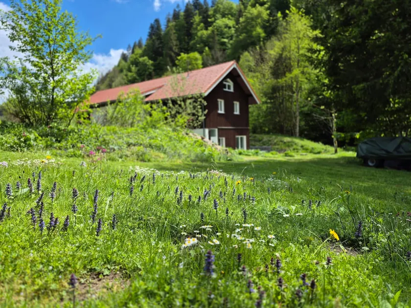 Sawmill Eschachthal Apartment Kreuzbach - Image 1