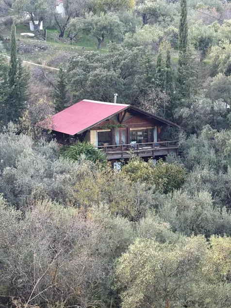 Cabin among olive trees - Image 1