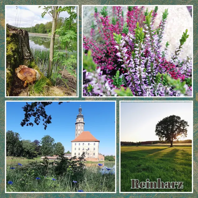 Vacation home ”Waldblick” - Image 1