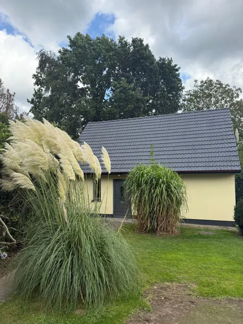 Vacation home with sauna ”Nordwind Sjut” - Image 1
