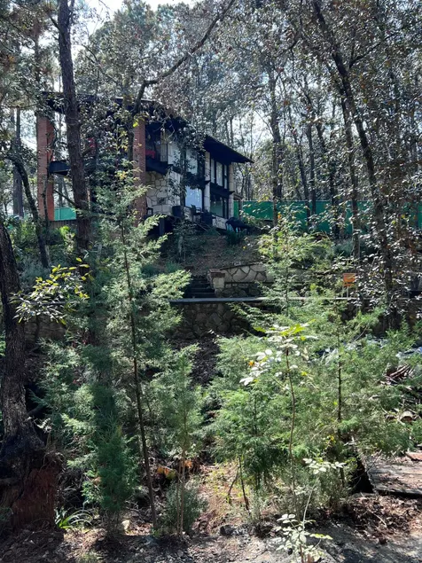 Cuarzo Azul Cabin. Huasca. Spa. Pet-friendly. - Image 1