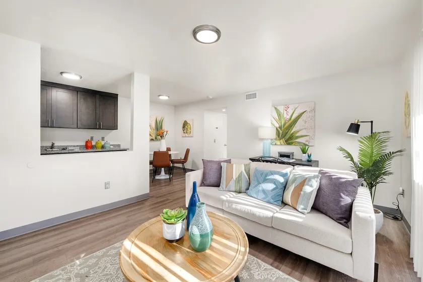 Conveniently Located Apartment. Short walk to UCD! - Image 1
