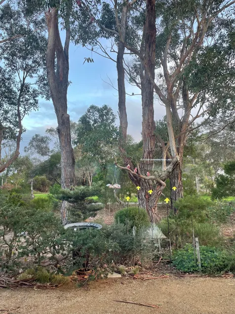 Apartment in a garden amongst the gum trees - Image 1