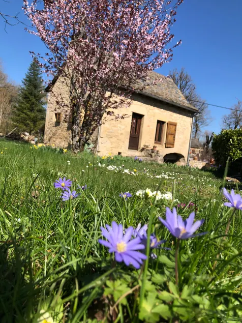 Small house in Causse - Image 1