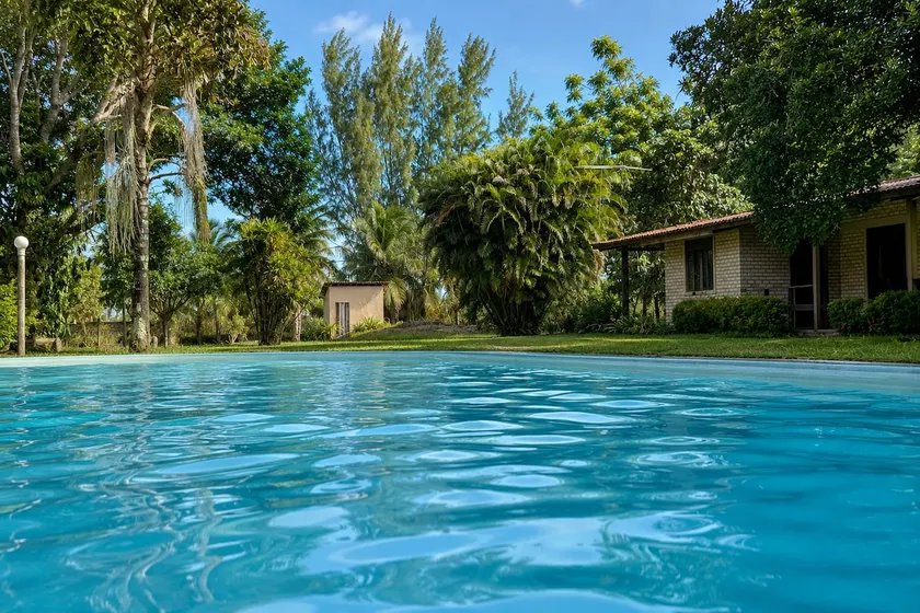 Complete Farm with Pool and Nature - Image 1