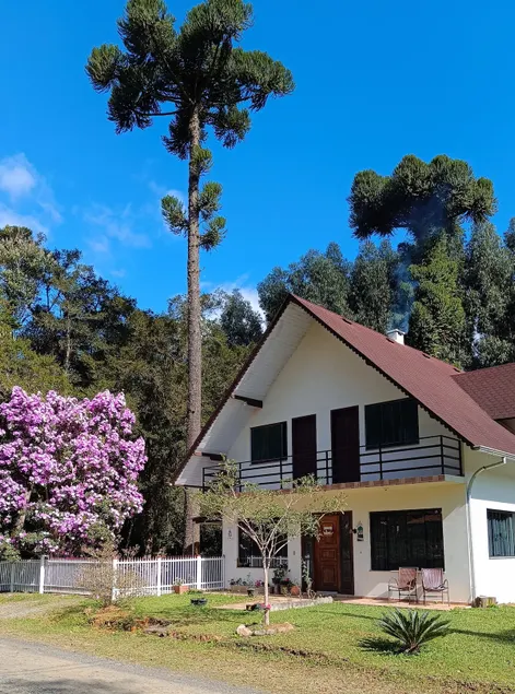Full apartment 38 m2 with peace and nature - No. 1 - Image 1