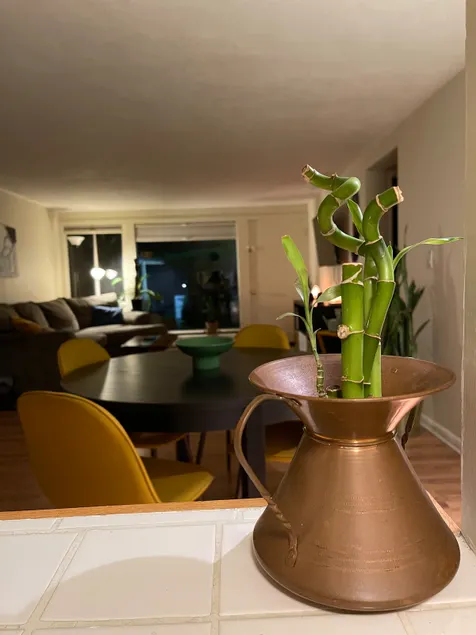 The Plant Haus - Image 1