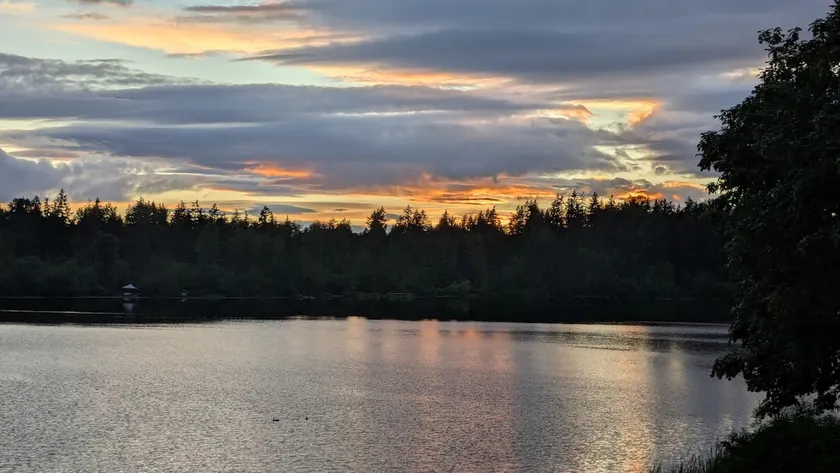 Serene Shadow Lake - Stunning/Peaceful Apt - Image 1