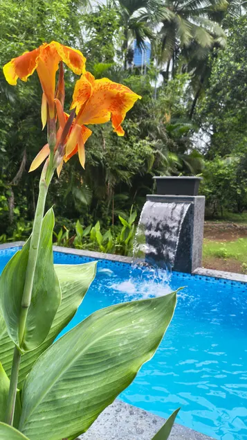Joyful Stays - A Home away from Home - Image 1