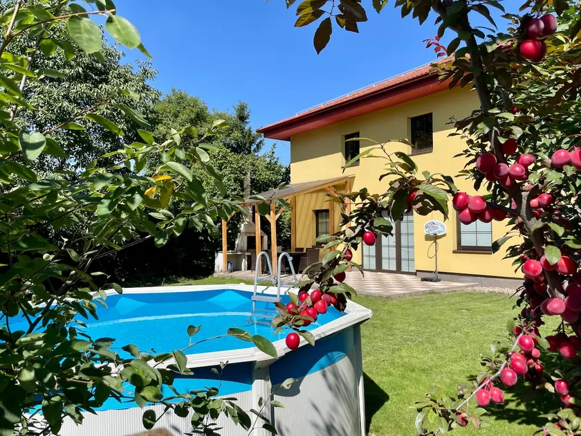 Luxury villa near Prague - Image 1