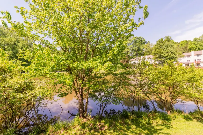 Golfcourse Cottage on the water - Image 1