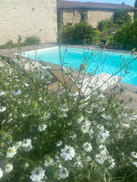 Rose Garden House - Image 1