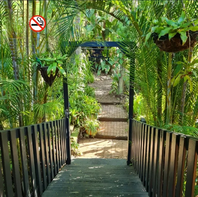 Relaxing home retreat. Pool. Sauna. Bird Sanctuary - Image 1