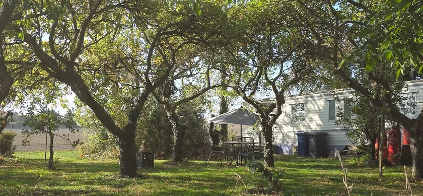 Orchard Escape! Comfortable 3 bed Static Caravan - Image 1