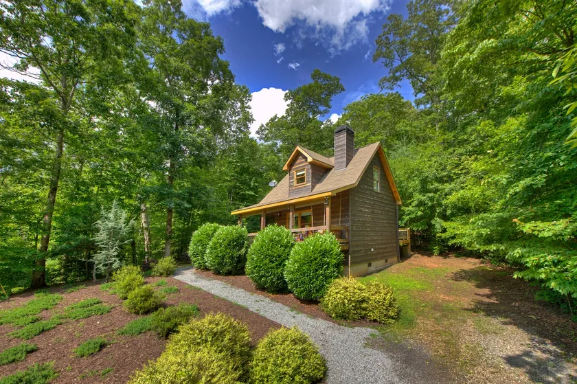 Cozy Ellijay Cabin-close to hiking, Red apple barn, waterfalls and wineries! - Image 1