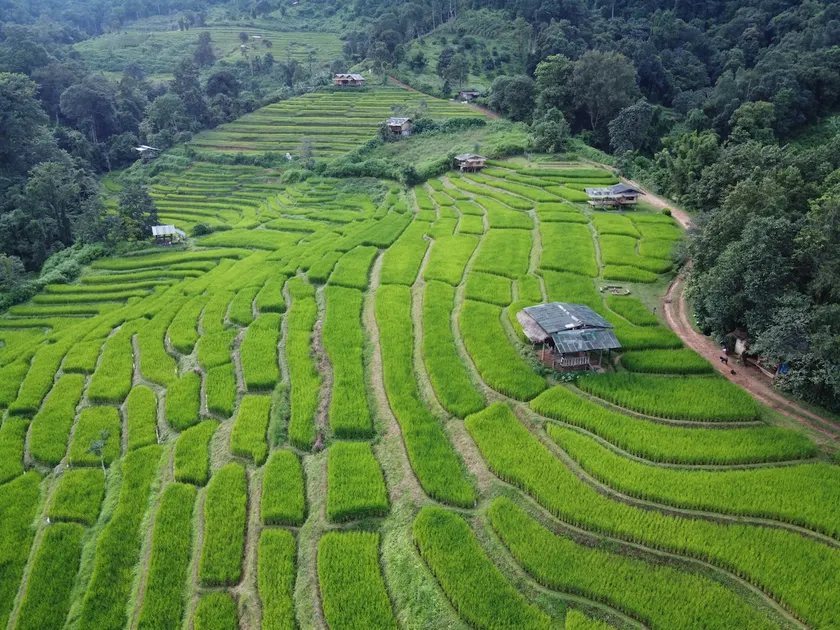 Pang Ma-O rice terrace นาขั้นบันไดบ้านปางมะโอ - Image 1
