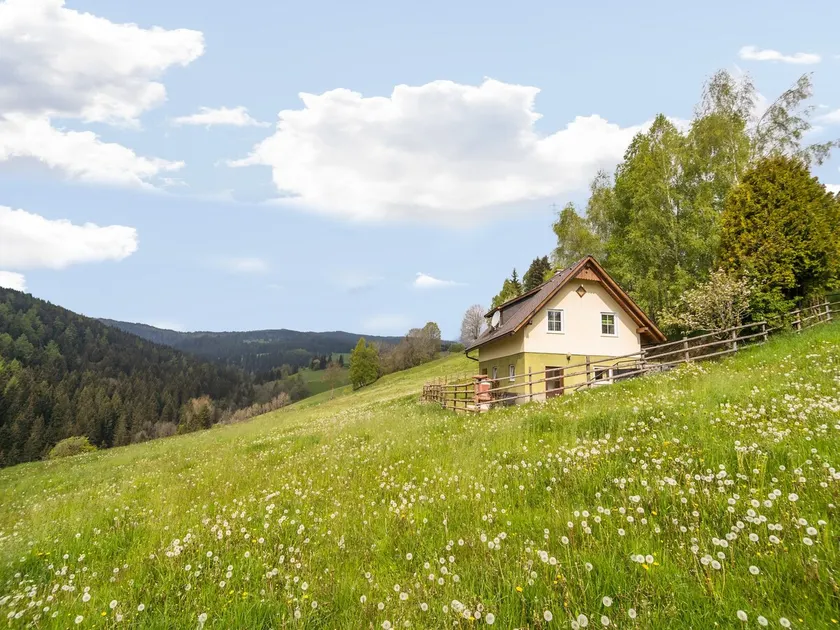 Cabana na montanha rústica em localização fantástica no meio da natureza no Vale Lavant - Image 1