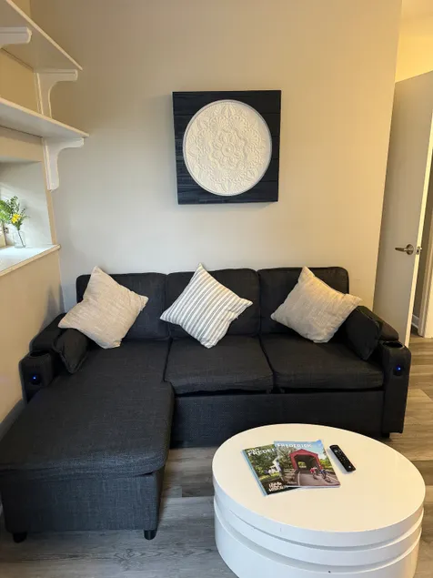 Your sanctuary awaits/1-bedroom downtown apartment - Image 1
