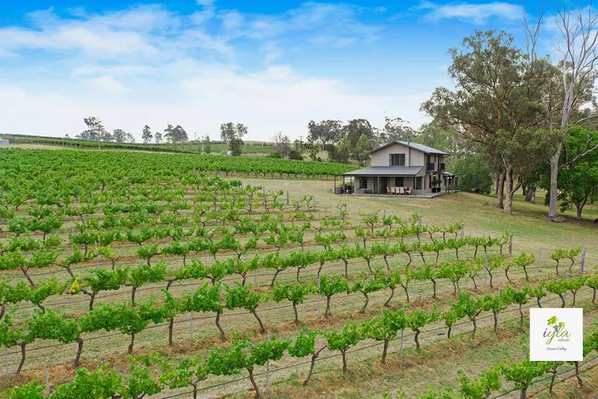 iyla Estate-Your exclusive Vineyard & Cottage stay - Image 1
