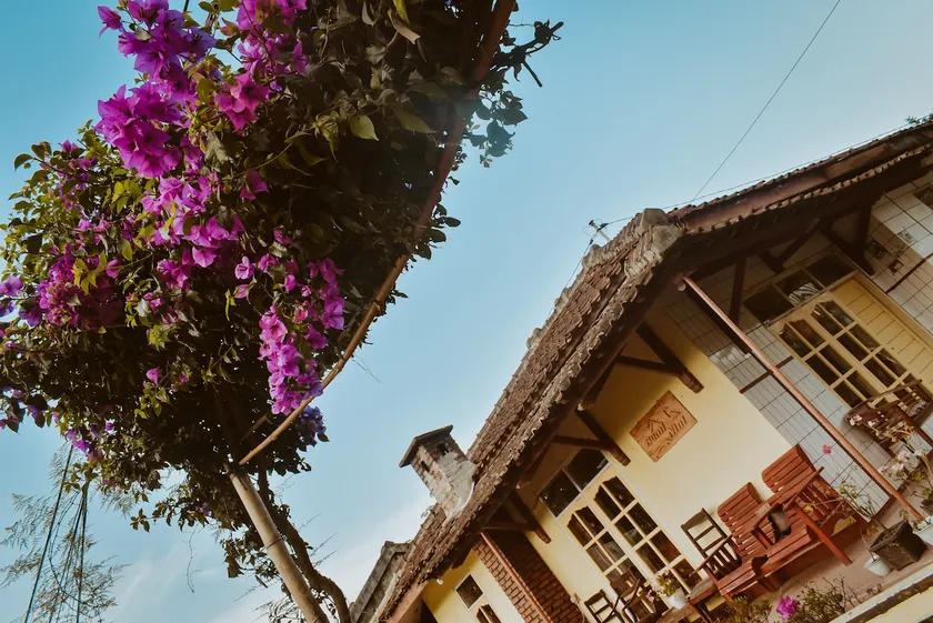 a house with a tea garden atmosphere - Image 1