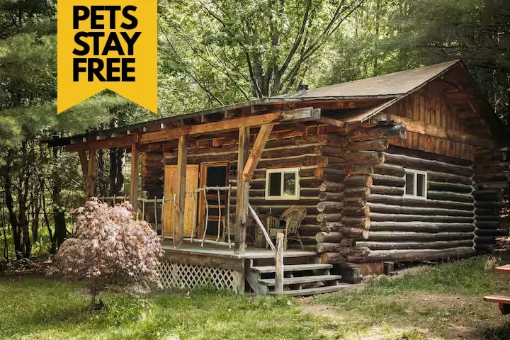 Pet Friendly Log Cabin - Image 1