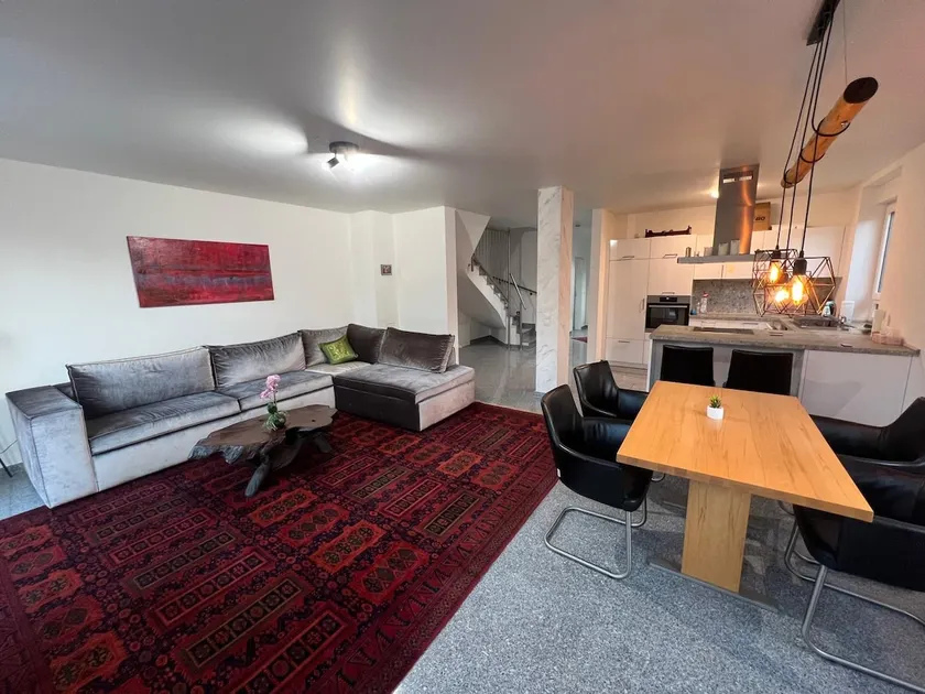 Spacious modern semi-detached house near Rhine-Main - Image 1
