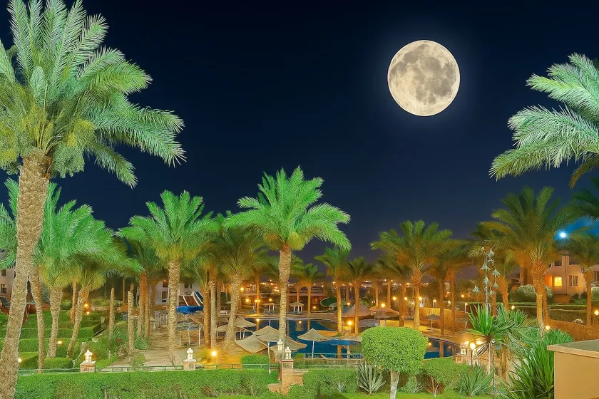 JWE Residence - Quality experience near Red Sea - Image 1