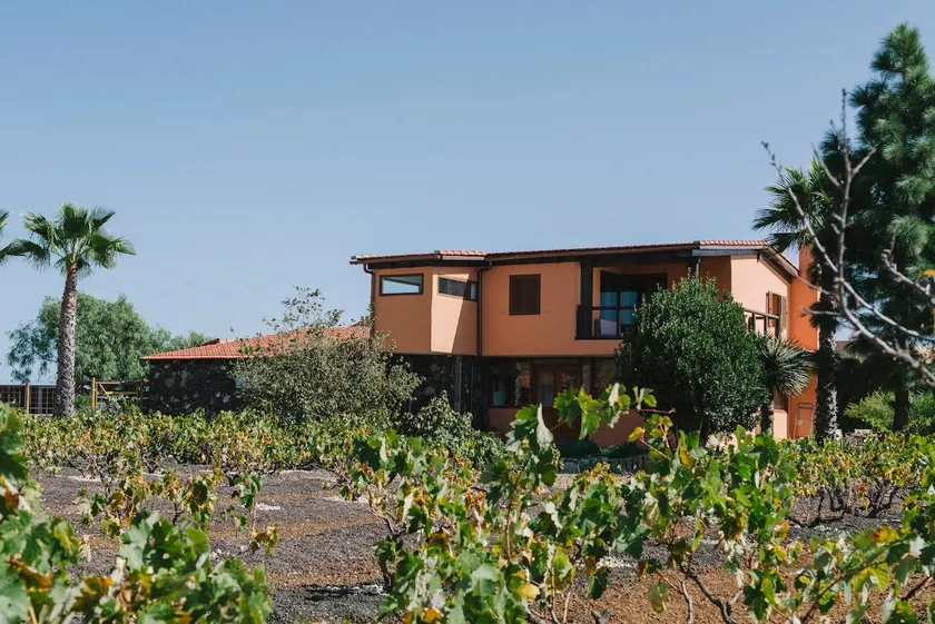 Finca Vilaflor - Image 1