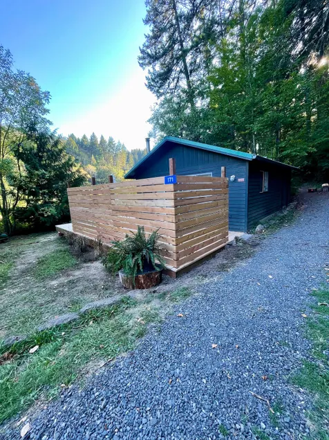 Cozy light-filled cabin in the woods - Image 1