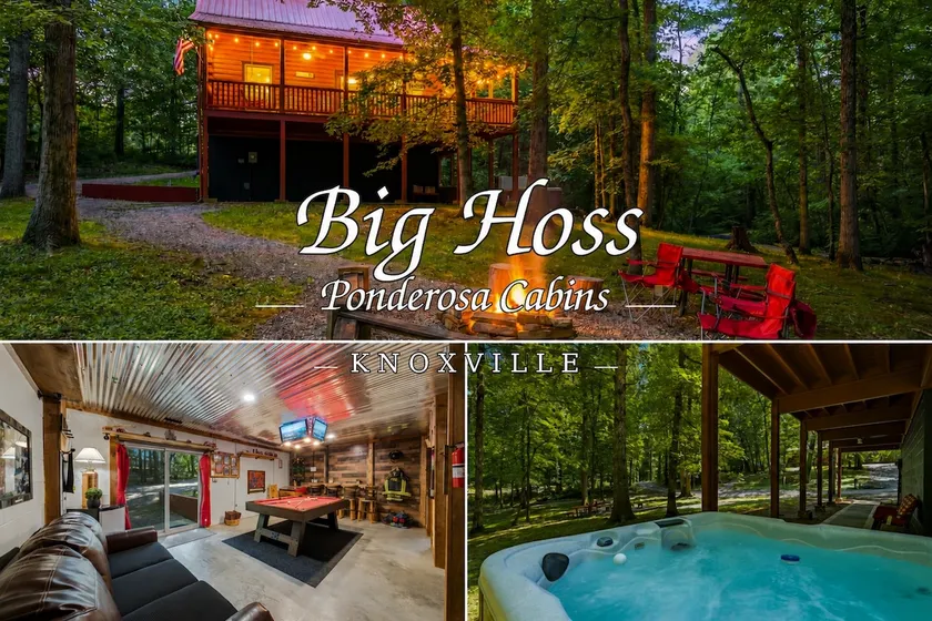 Cabin•HotTub• GameRoom• 16 Acres• NearUTK, - Image 1