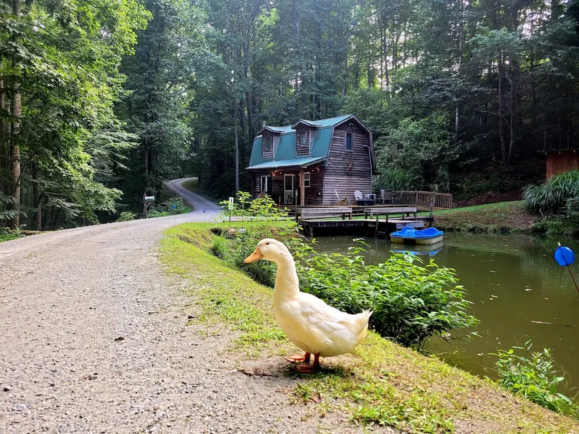 The Barn Tranquil Mountain Stay with stocked Pond - Image 1