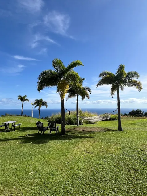 Ocean view Paradise with washer and dryer - Image 1