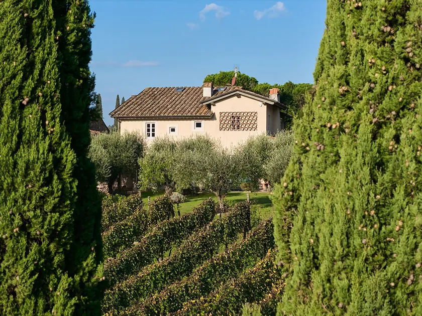 Villa Mareli surrounded by vineyards with pool-spa - Image 1