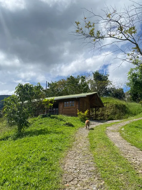 Martinique - Image 1