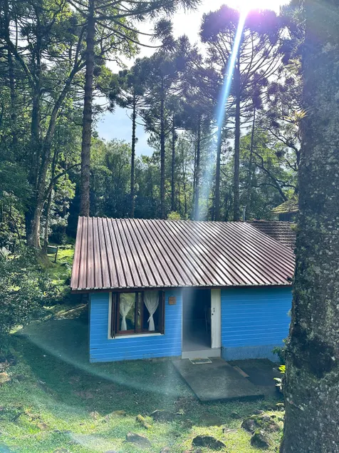 Cozy cottage in a Holistic Site (Hortênsias) - Image 1
