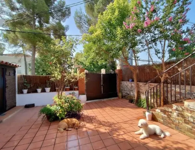 Cozy and pet-friendly house surrounded by nature - Image 1