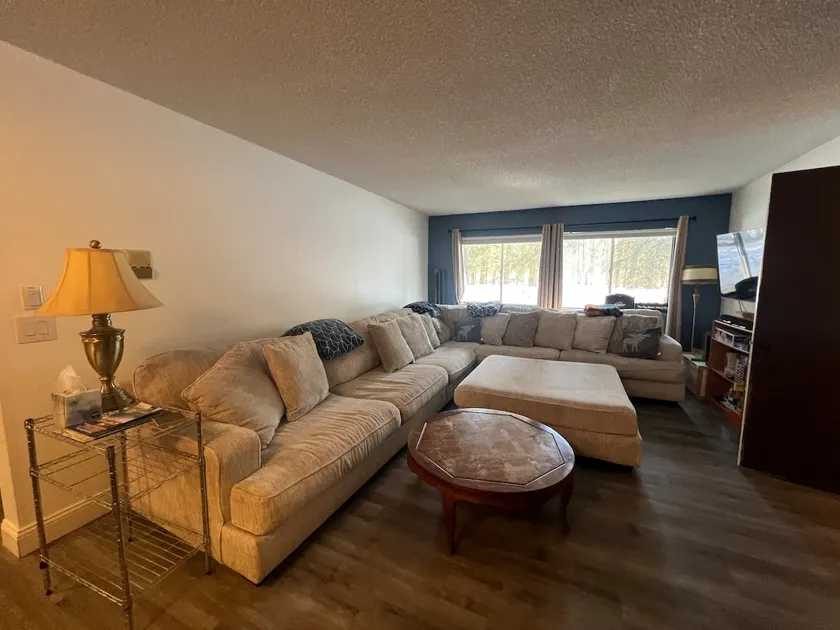 Rustic Girdwood Condo - Image 1