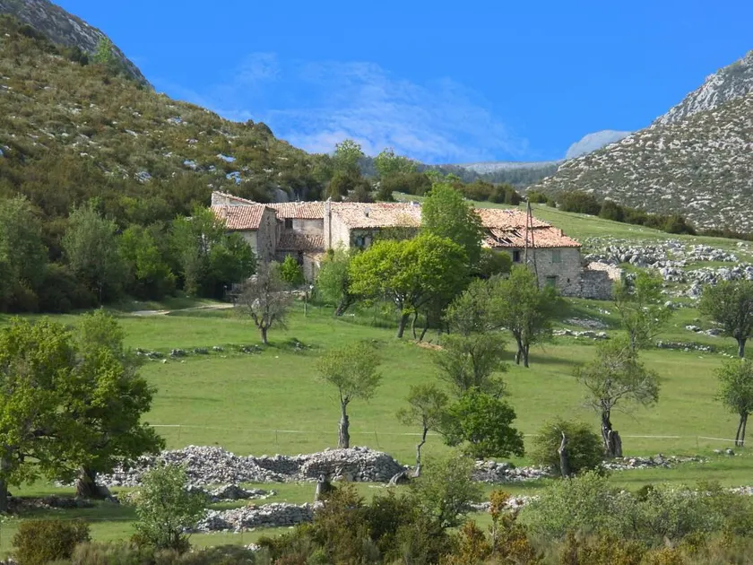 Le gîte panda saint-maymes - Image 1