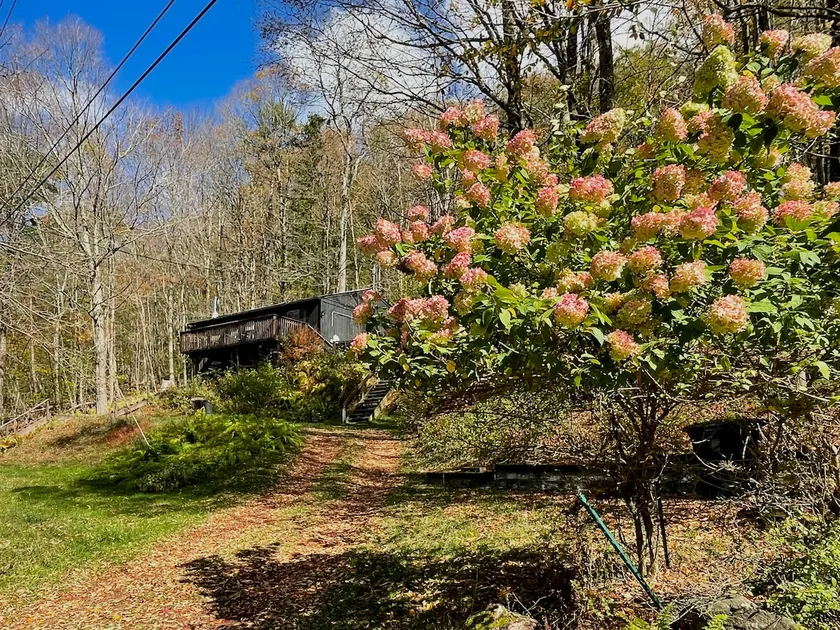 Fireplace + Catskill Views | Overlook Lake Cabin - Image 1